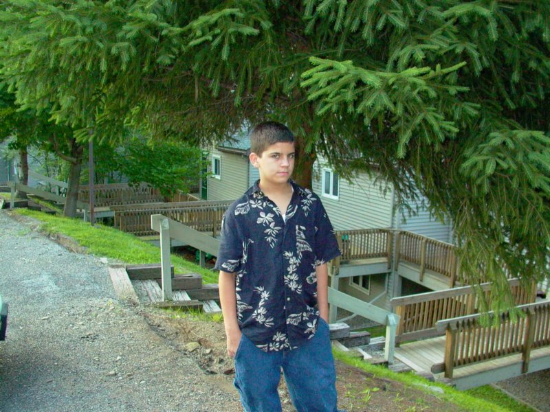 Photograph
