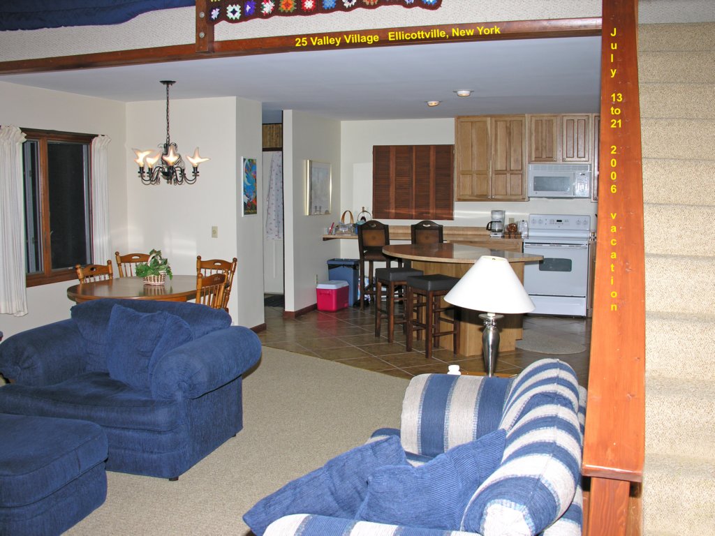 valleyvillageellicottvillenyjuly13to212006.jpg