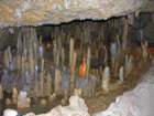 day6barbadosharrisonscave_small.jpg