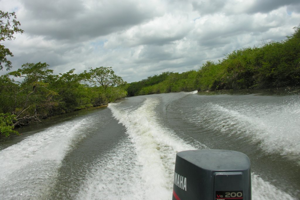 dscn2385_4x6.jpg
