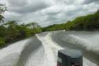 dscn2385_4x6_small.jpg
