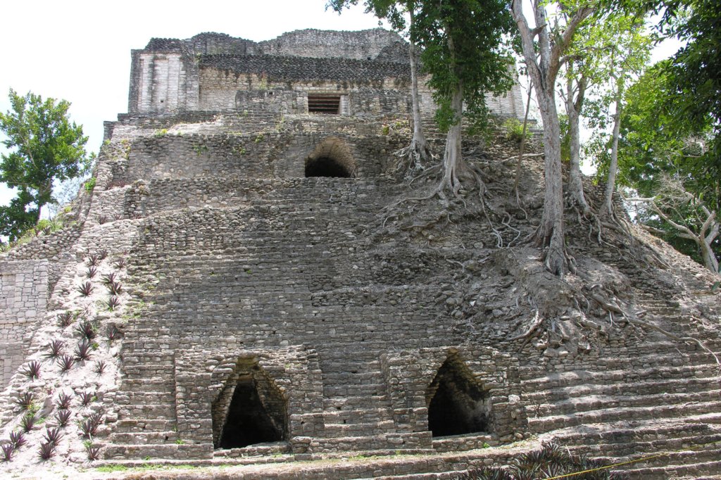 dscn2509_4x6.jpg