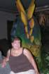 dscn2817_4x6_small.jpg