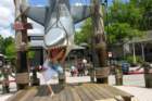 dscn2879_4x6_small.jpg