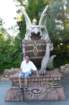 dscn2909_4x6_small.jpg
