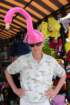 dscn3115_4x6_small.jpg