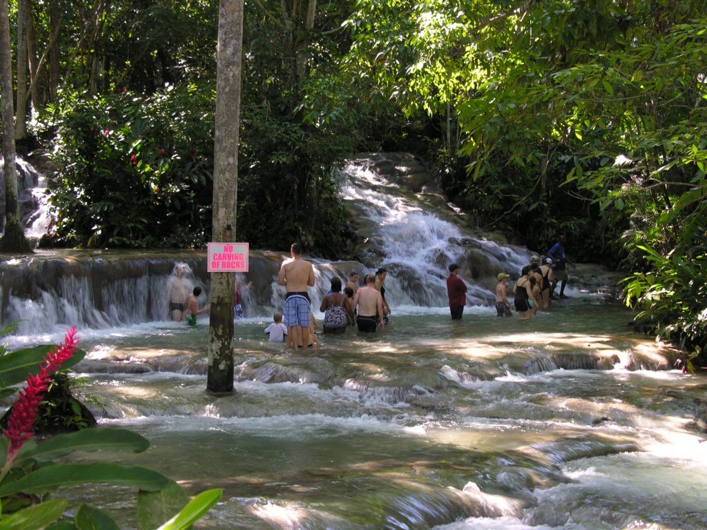 dscn3630.jpg