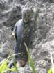 dscn3728_small.jpg