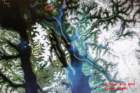 img_2327endicottarmfjorddawesglacier_small.jpg