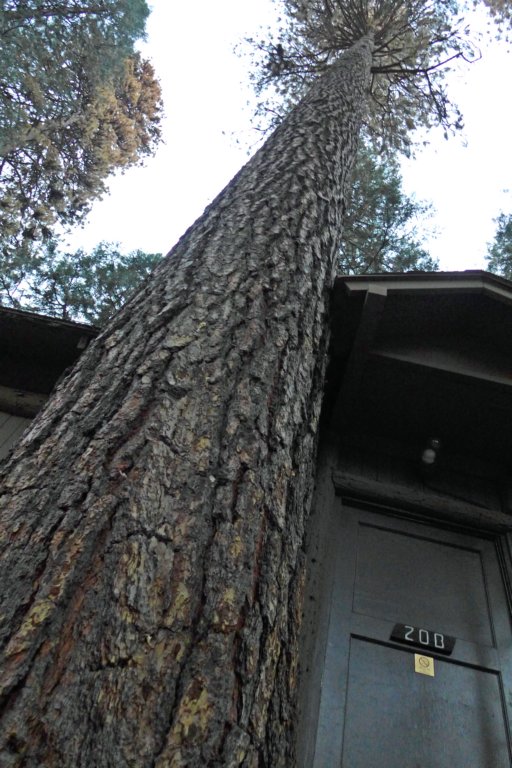 p1050649r.jpg