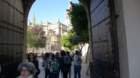 p1190784_small.jpg