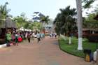 img_0261_small.jpg