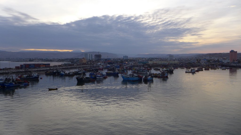 p1120493.jpg