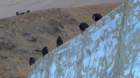 p1120513_small.jpg