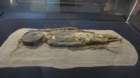 p1120724_small.jpg