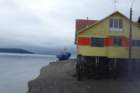 p1130561_small.jpg
