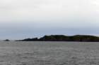 p1140405_small.jpg