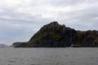 p1140436_small.jpg