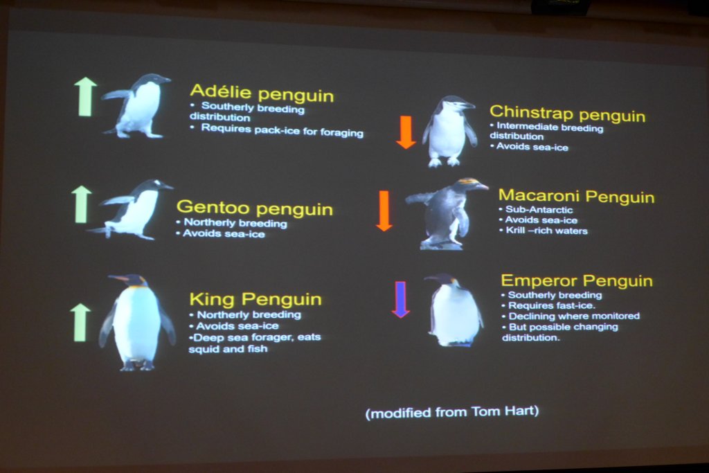 p1140657.jpg