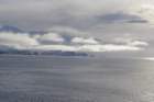 p1140691_small.jpg