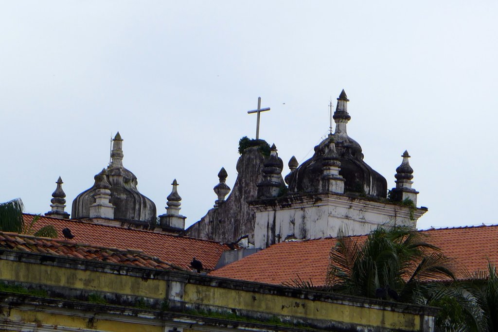 p1170247.jpg