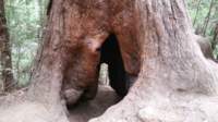 _084351_small.jpg