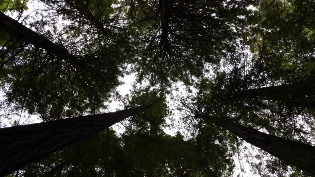 _090150.jpg