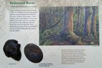 _090409_small.jpg