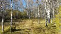 _155823_small.jpg