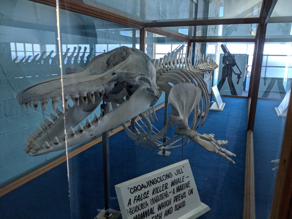 img_20191224_141306.jpg