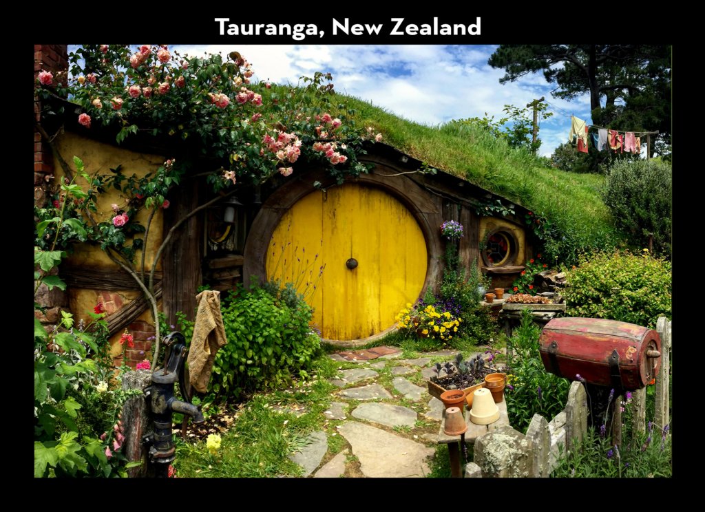 tauranga2.jpg