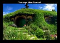tauranga_small.jpg