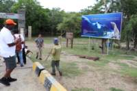 img_4170_small.jpg
