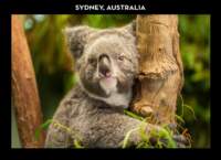 sydney4_small.jpg