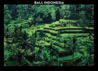 bali_small.jpg