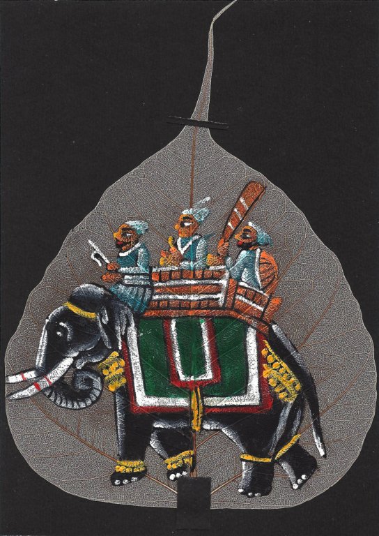 elephantf.jpg