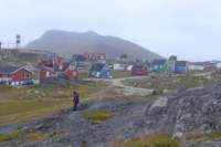 p1240994_small.jpg