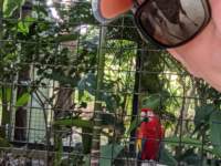 img_20200219_122521_small.jpg