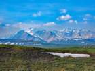 _093558_small.jpg