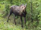 _120615_small.jpg