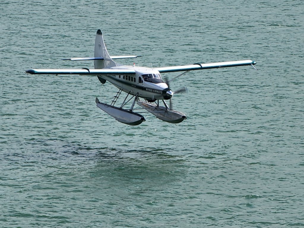 _145019.jpg