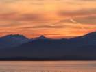_221530_small.jpg