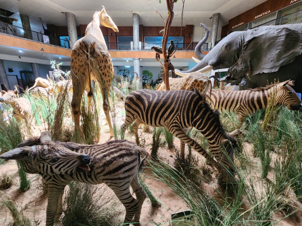 _115319.jpg