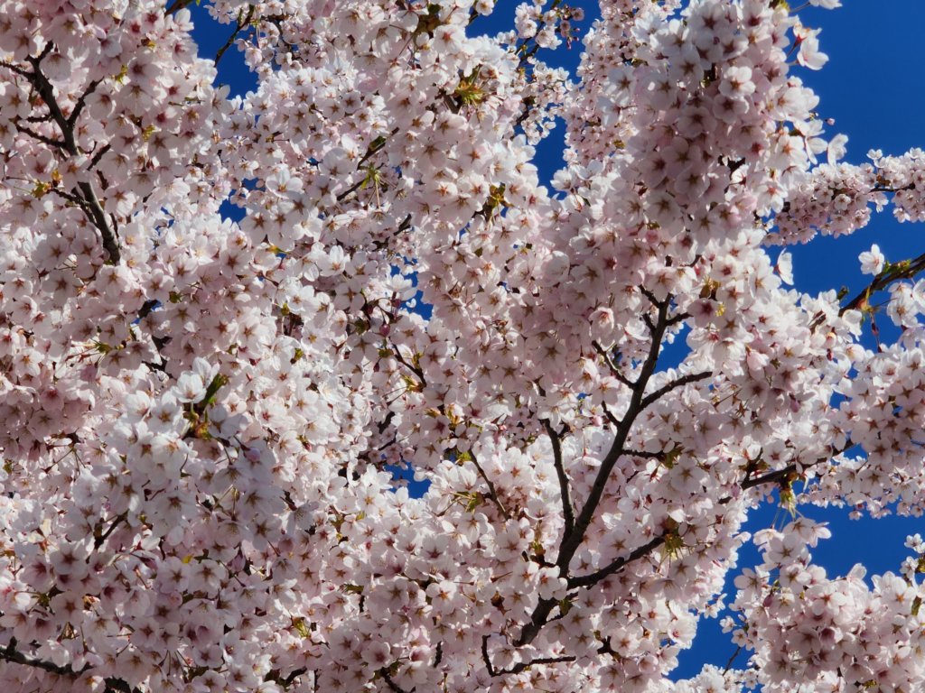 _102221.jpg