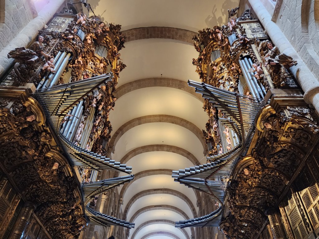 _135232.jpg