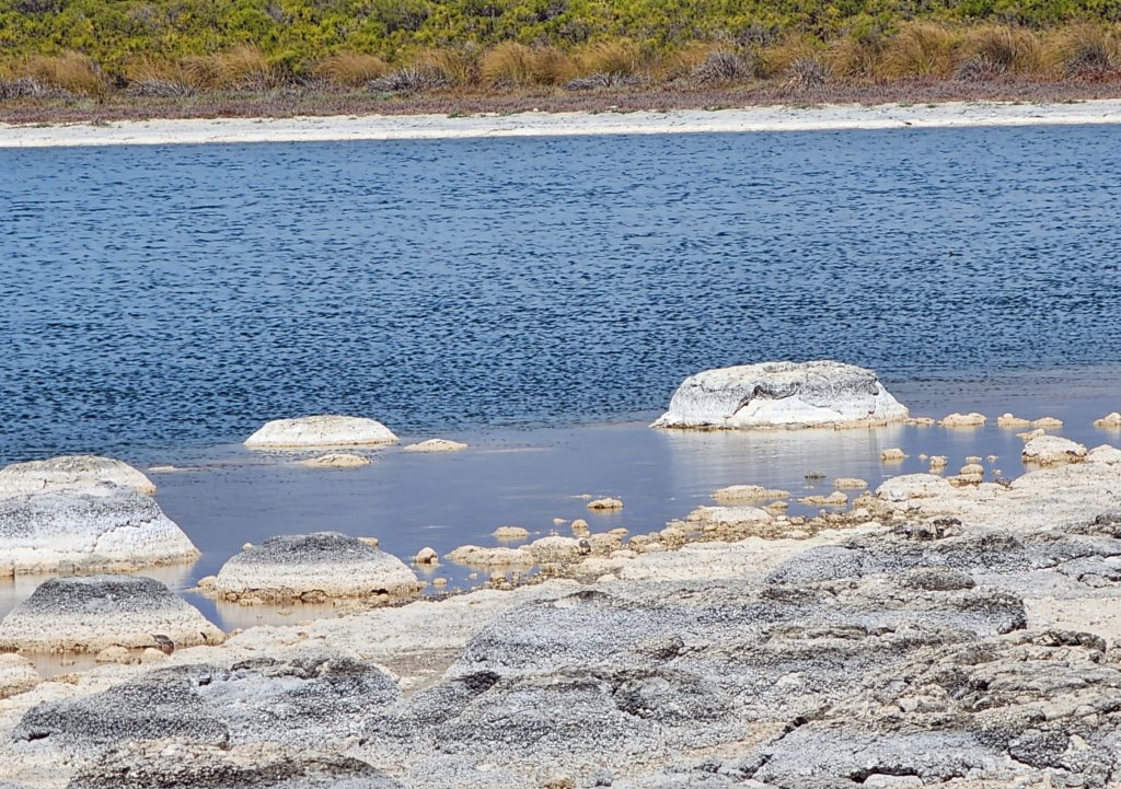 _151701r.jpg