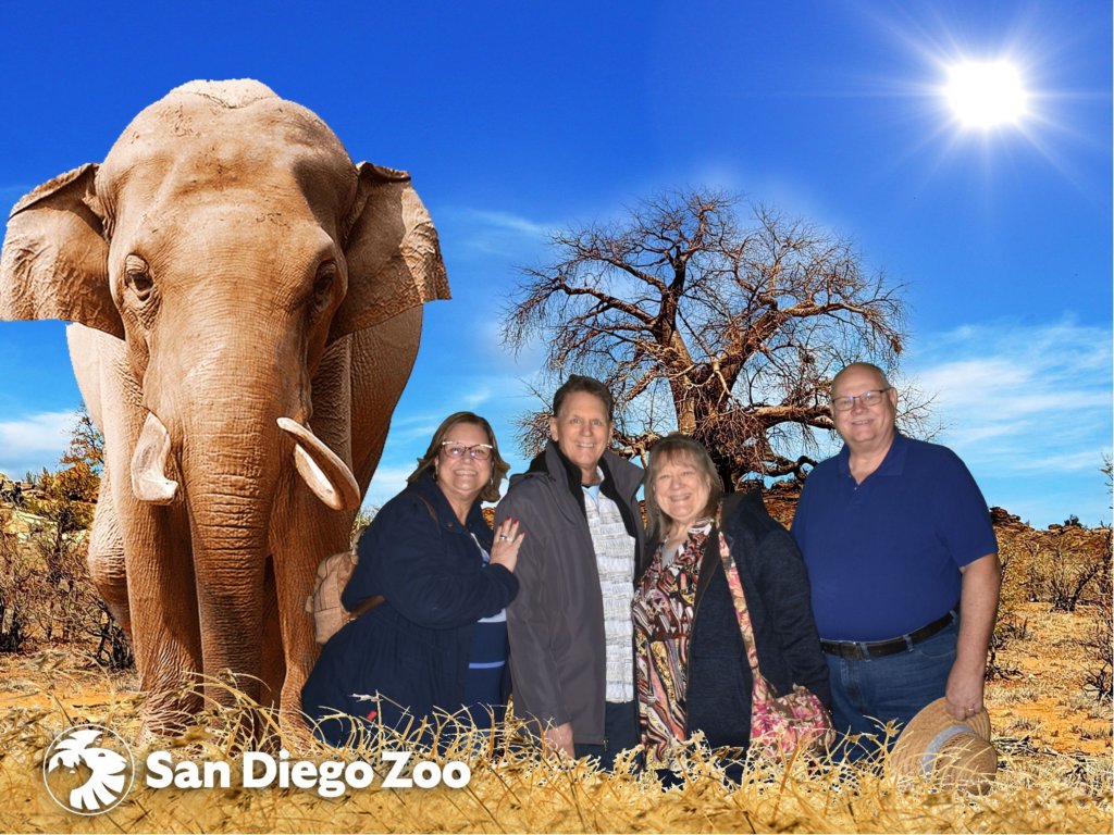 sdzoo1.jpg