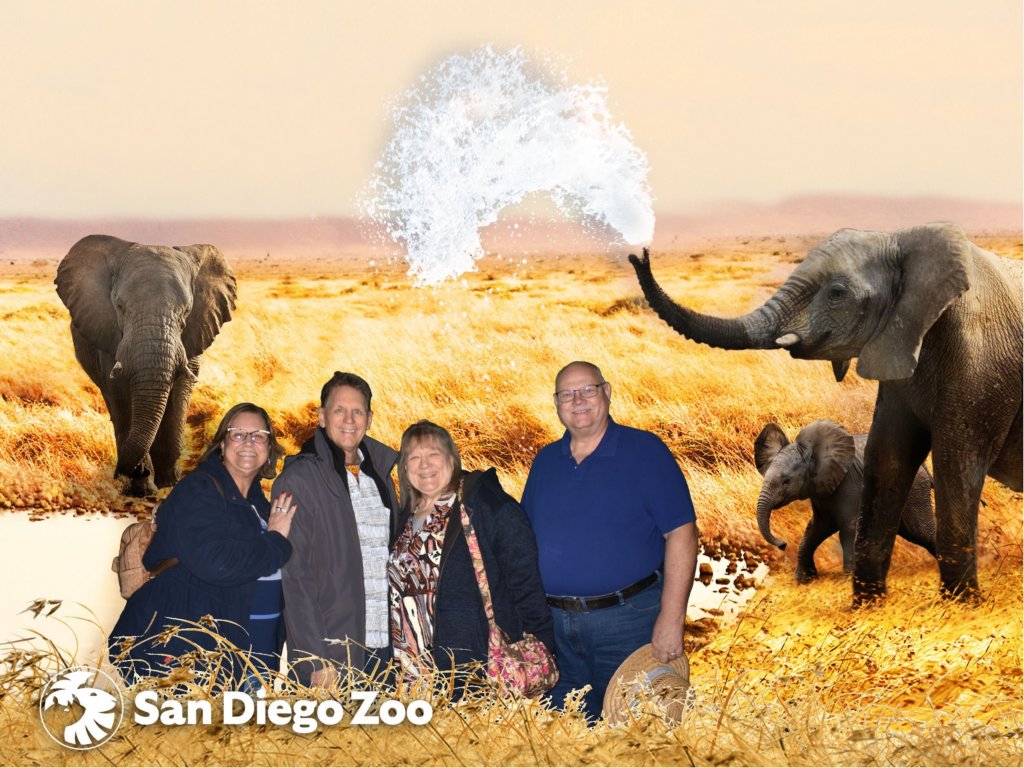 sdzoo4.jpg