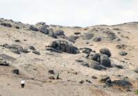_090412r2_small.jpg