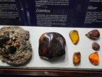 _105833_small.jpg